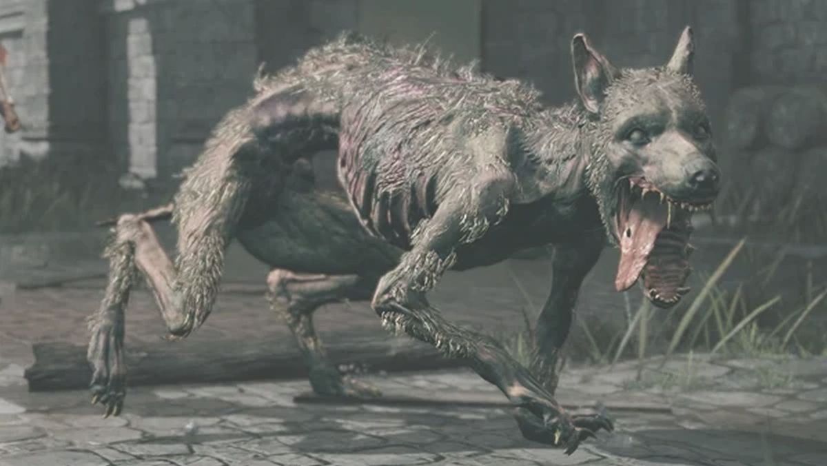 "The Surprising Truth About Elden Ring's 'Friendliest' Dog"