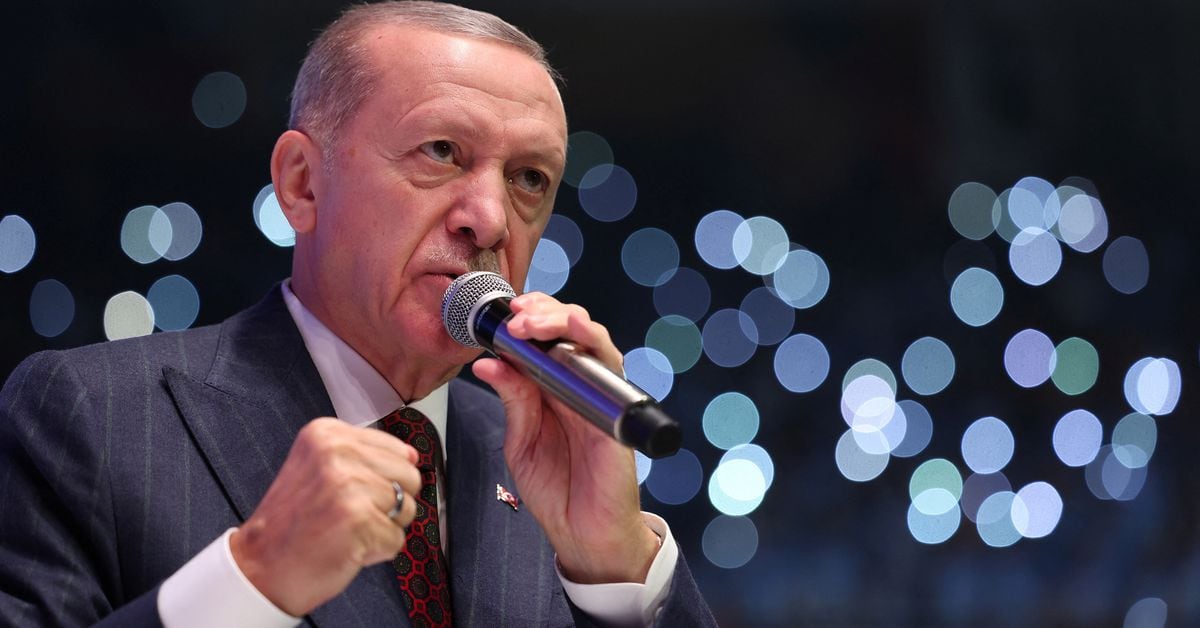 Featured image for Turkey's Erdogan Urges Diplomatic Solutions in Israeli-Palestinian Conflict
