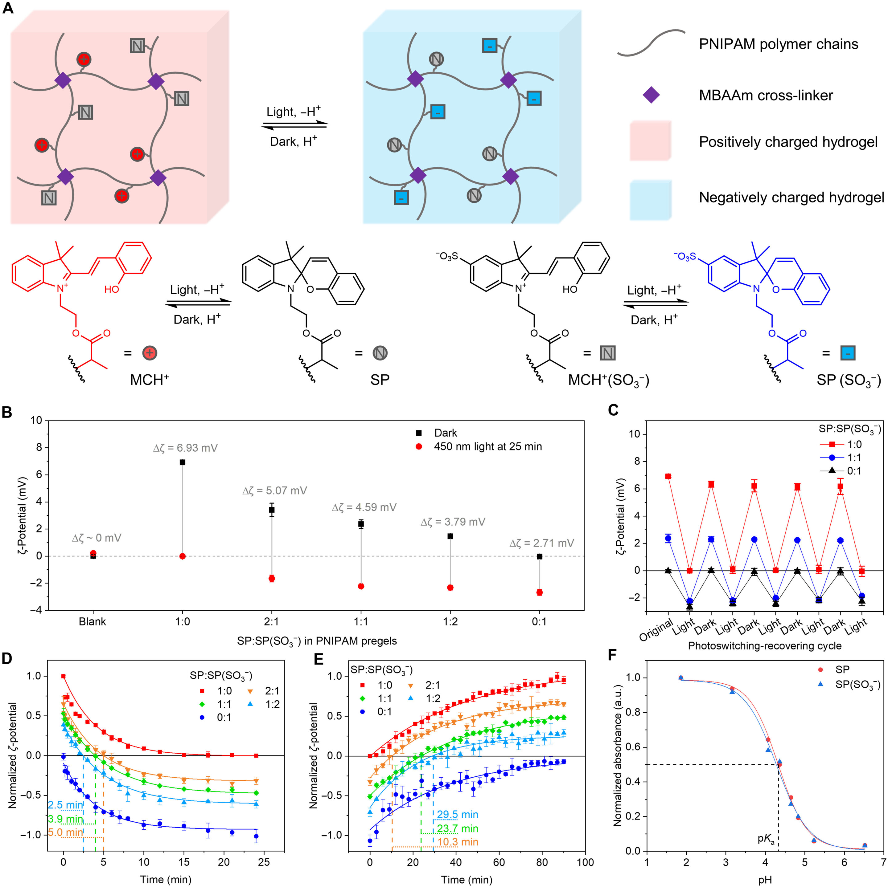 Featured image for "Controlling Hydrogel Locomotion with Light and Electric Fields"