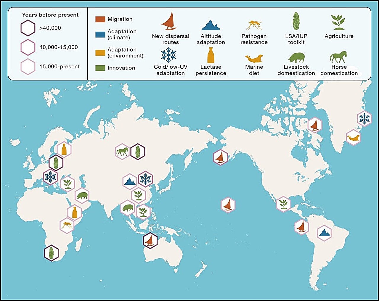 Featured image for "Unveiling Humanity's Origins: Insights from Ancient Genomes"
