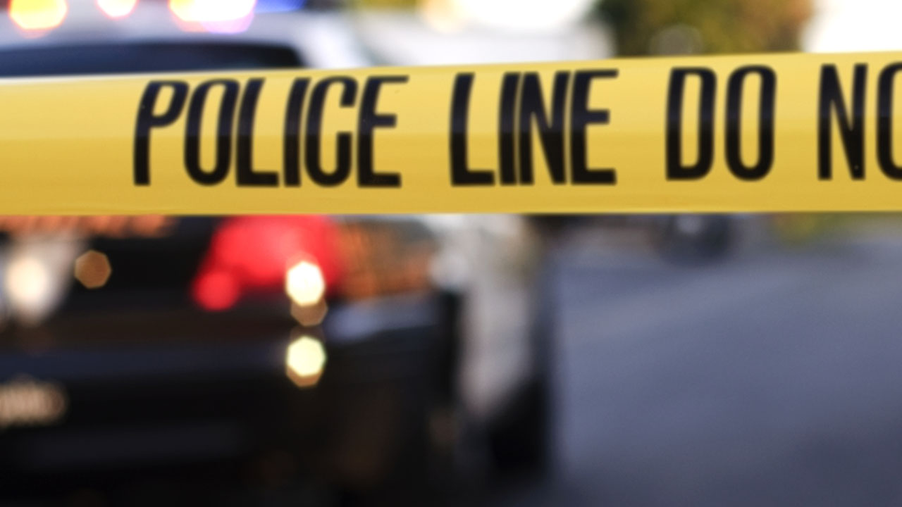 Deadly Crashes: Driver Flees, Owner Dies, and Multiple Fatalities Reported.