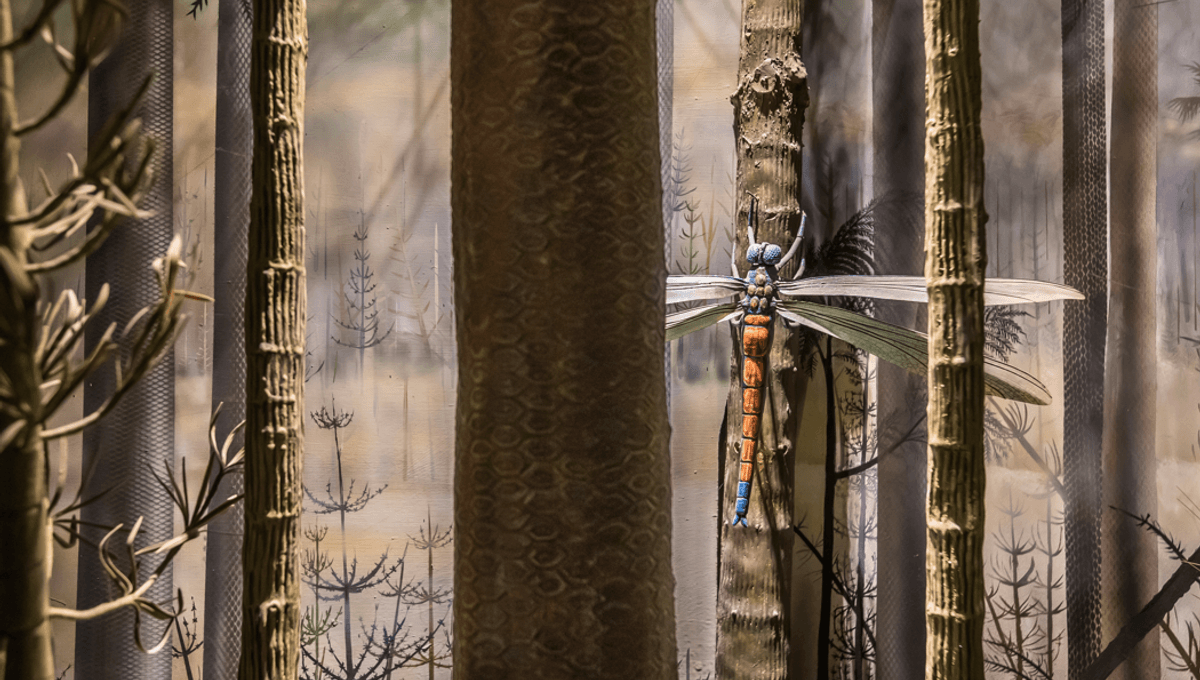 Featured image for "Unveiling the Enormous Dragonfly-Like Bug: Earth's Largest Insect Discovery"