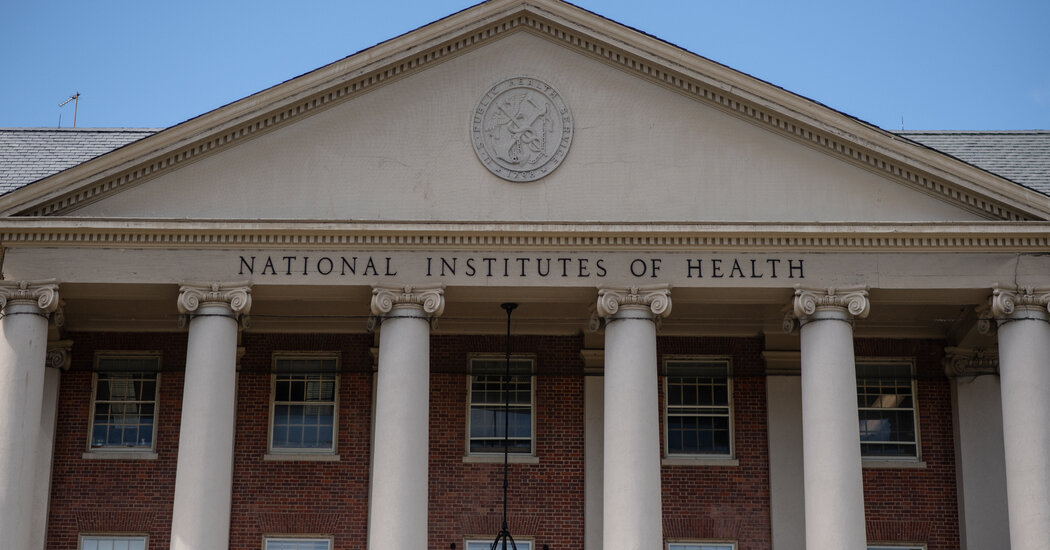 Jay Bhattacharya's Controversial NIH Appointment Sparks Debate