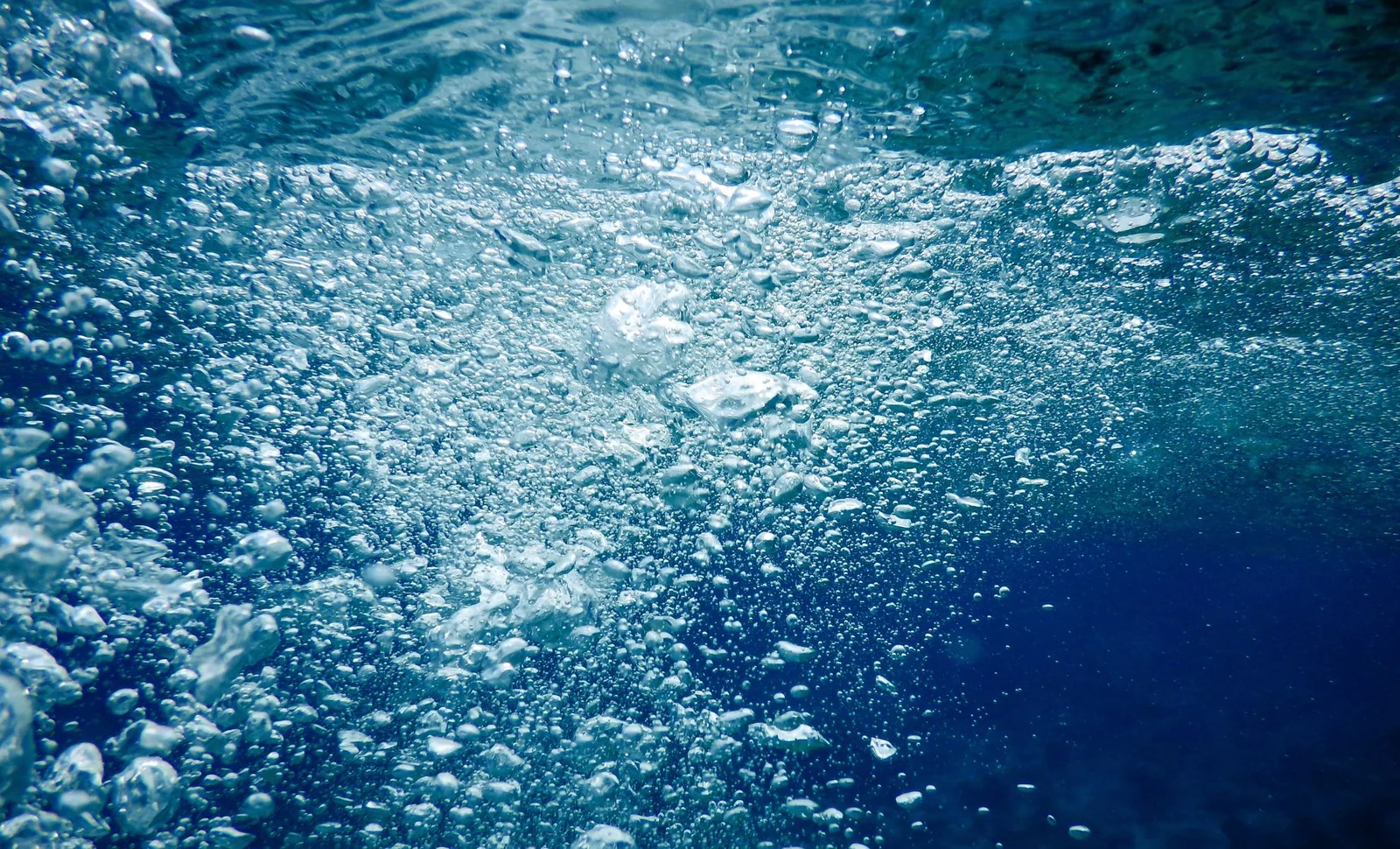 Lanternfish Extinction Signals Critical Ocean Oxygen Decline