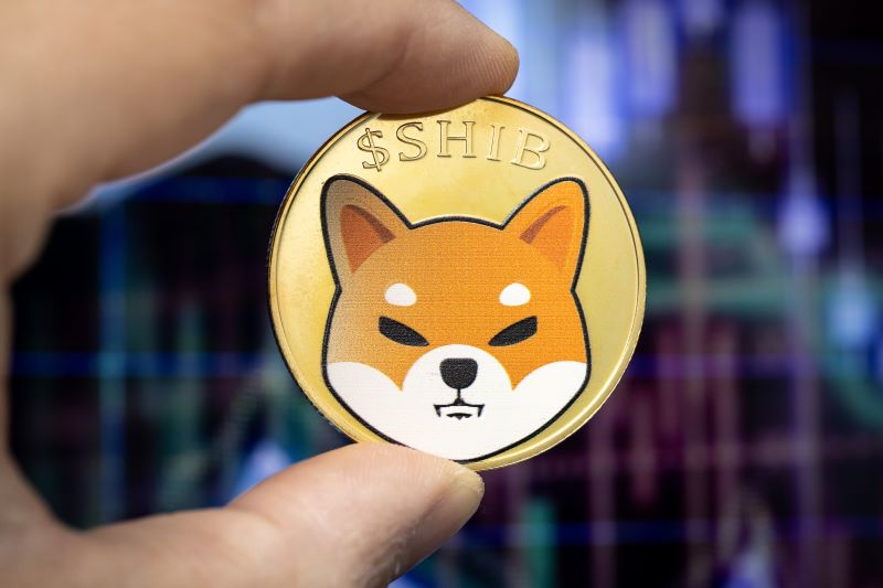 Featured image for "Shiba Inu's Meteoric Rise: Unraveling the Meme Coin Rally"
