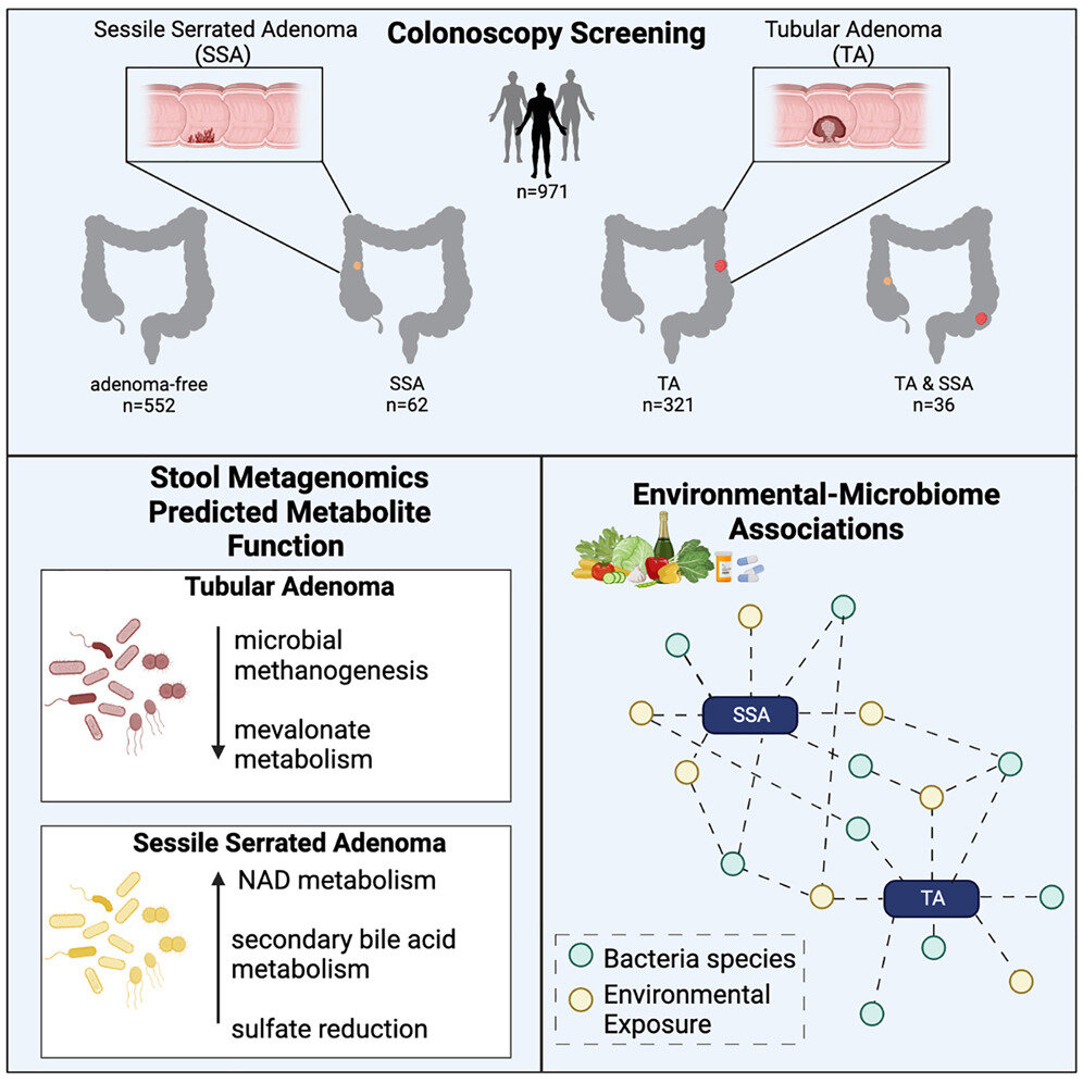 Featured image for The Link Between Gut Microbiome Changes and Colorectal Cancer Risk.