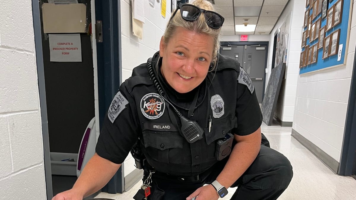 Featured image for Traveler Faces Charges for Abandoning Dog at Pittsburgh Airport