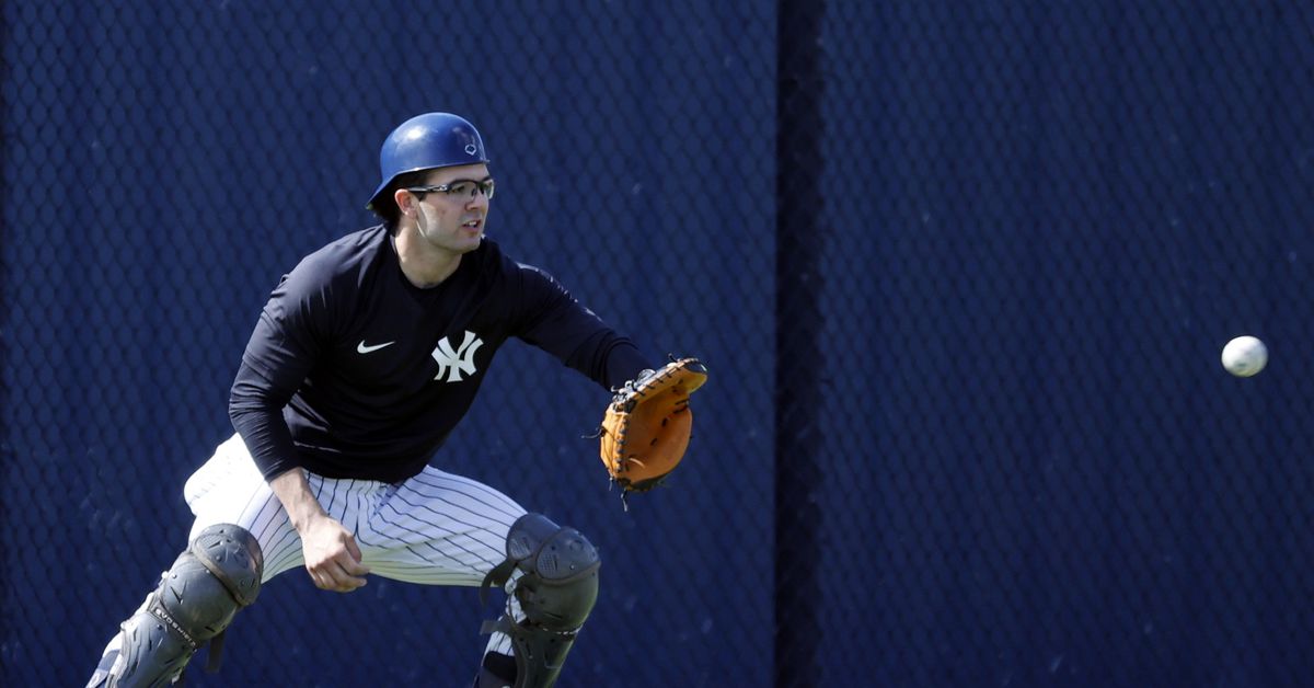 Yankees Prospects Jasson Domínguez and Austin Wells Set for Major League Promotion