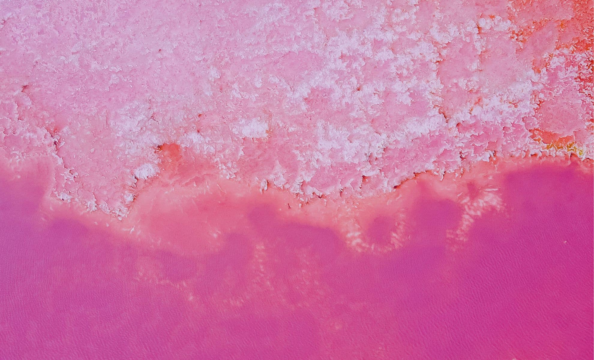 Featured image for Geologists Discover Hidden Oases Beneath Great Salt Lake