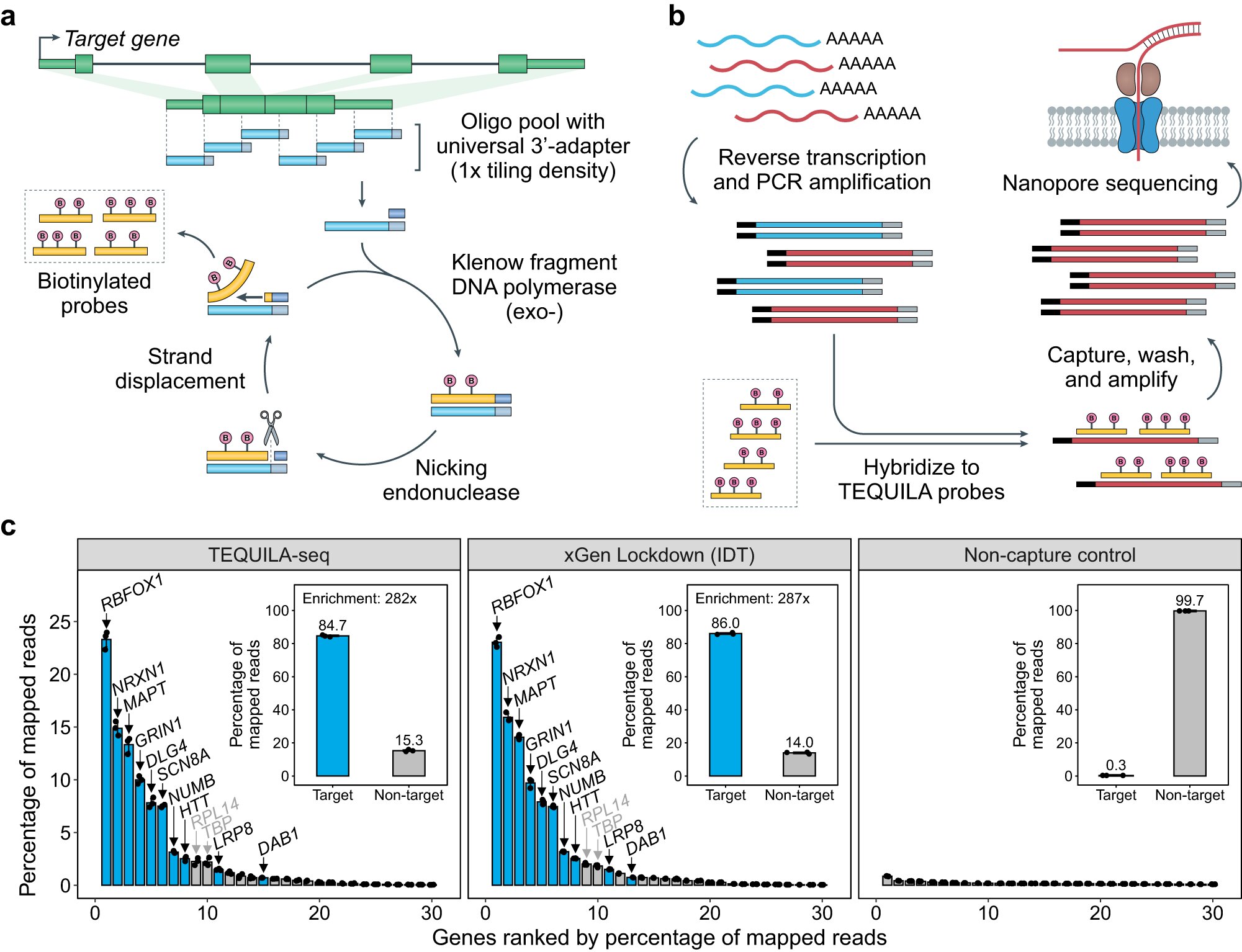 Featured image for "Breakthrough: Low-cost Technology Enables Precise Long-Read RNA Sequencing"