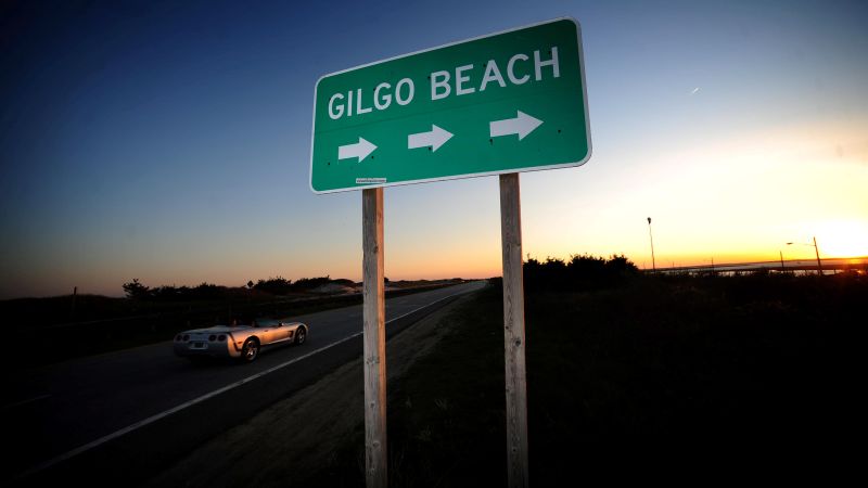 Unmasking the Gilgo Beach Serial Killer: The Arrest of Rex Heuermann