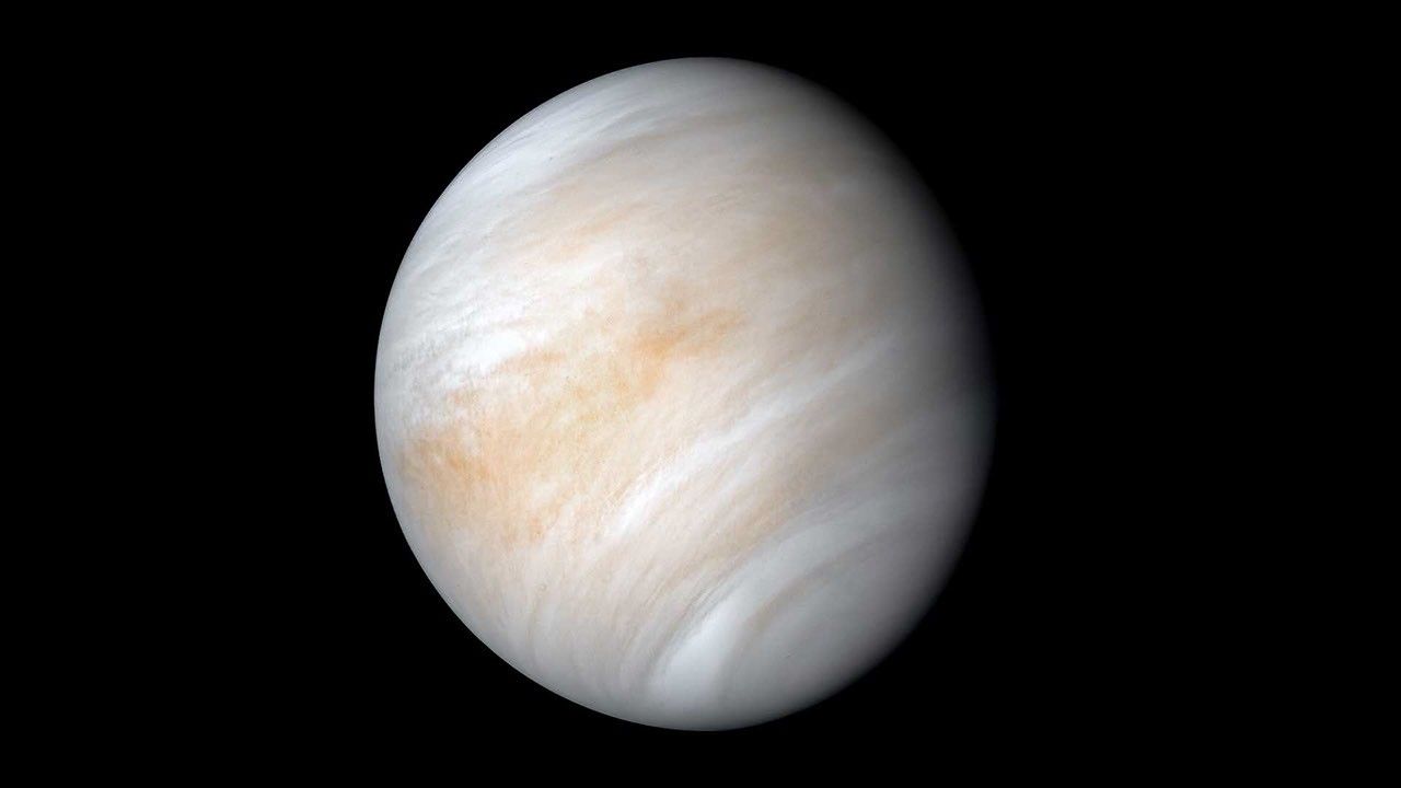 Hidden Asteroid Family Possibly Sharing Venus' Orbit Discovered