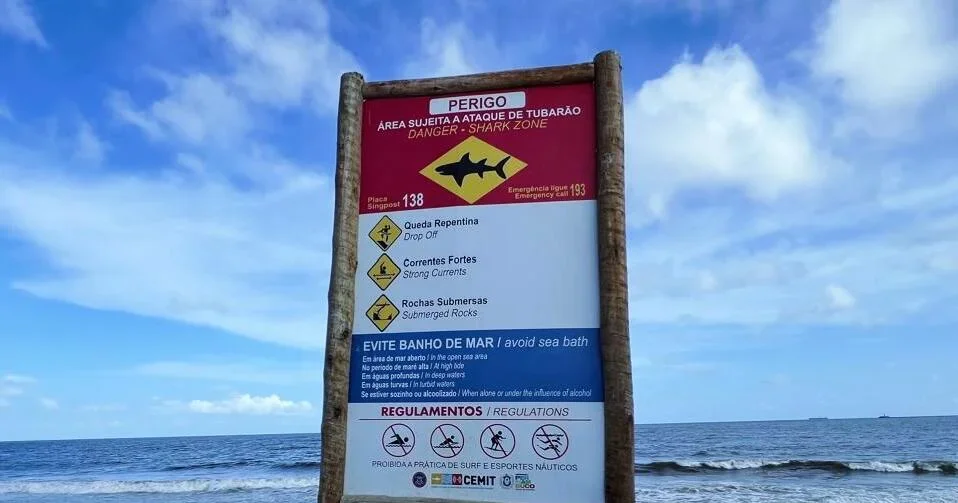 Shark Attack Claims Teen Life on Brazil’s Pernambuco Coast; Officials to Boost Monitoring