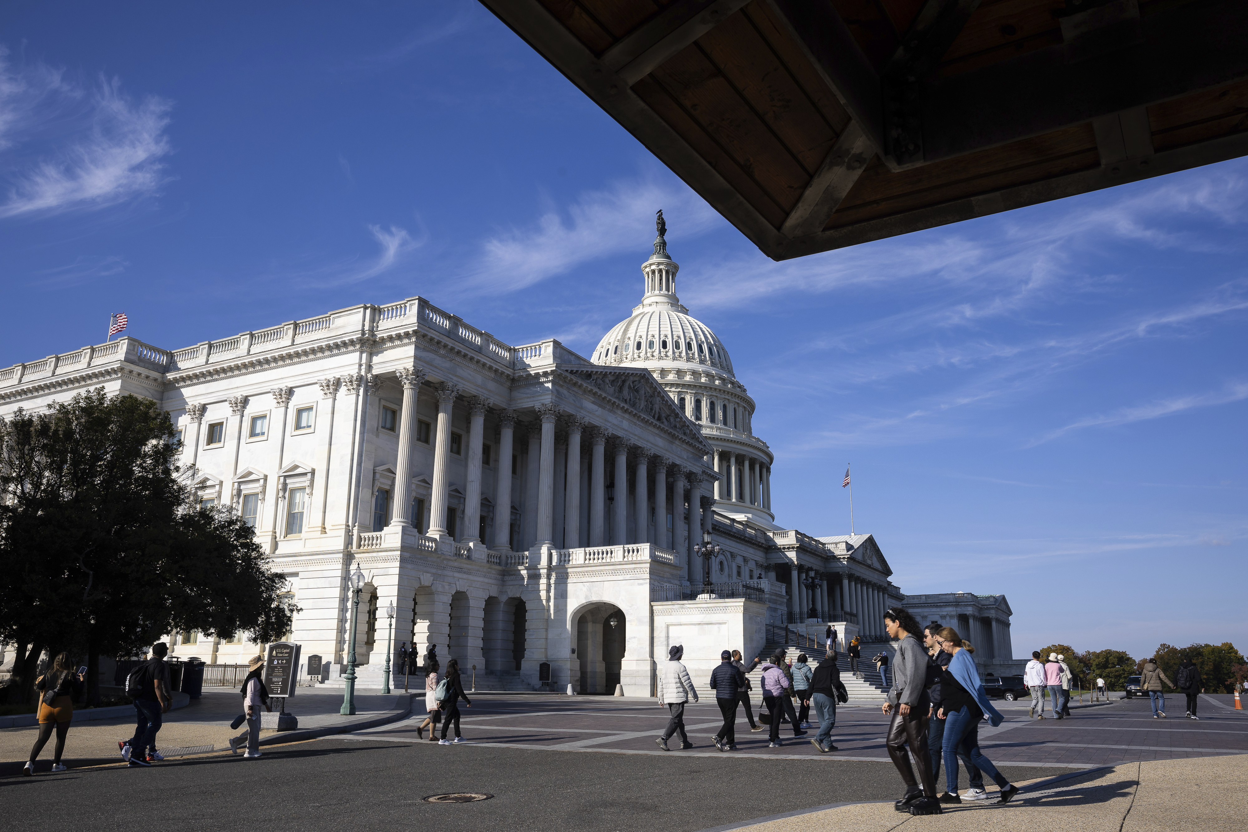 Senator Ernst Urges Musk to Lead DOGE-Driven Federal Spending Cuts