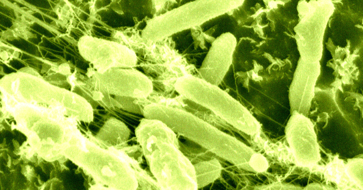 Featured image for Bacteria's Appetite for Plastic: A Potential Solution to Pollution