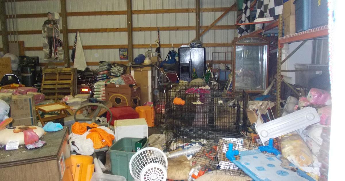 Massive Animal Rescue Operation: 30 Dogs Found Dead, 90 Rescued from Unlivable Conditions in Ohio
