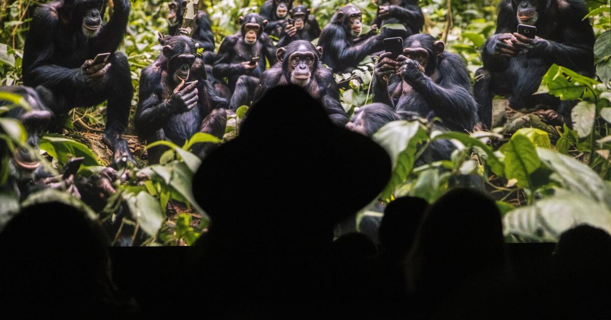 Featured image for Sora 2's Viral Rise Sparks Trust and Ethical Concerns in AI Video Tech