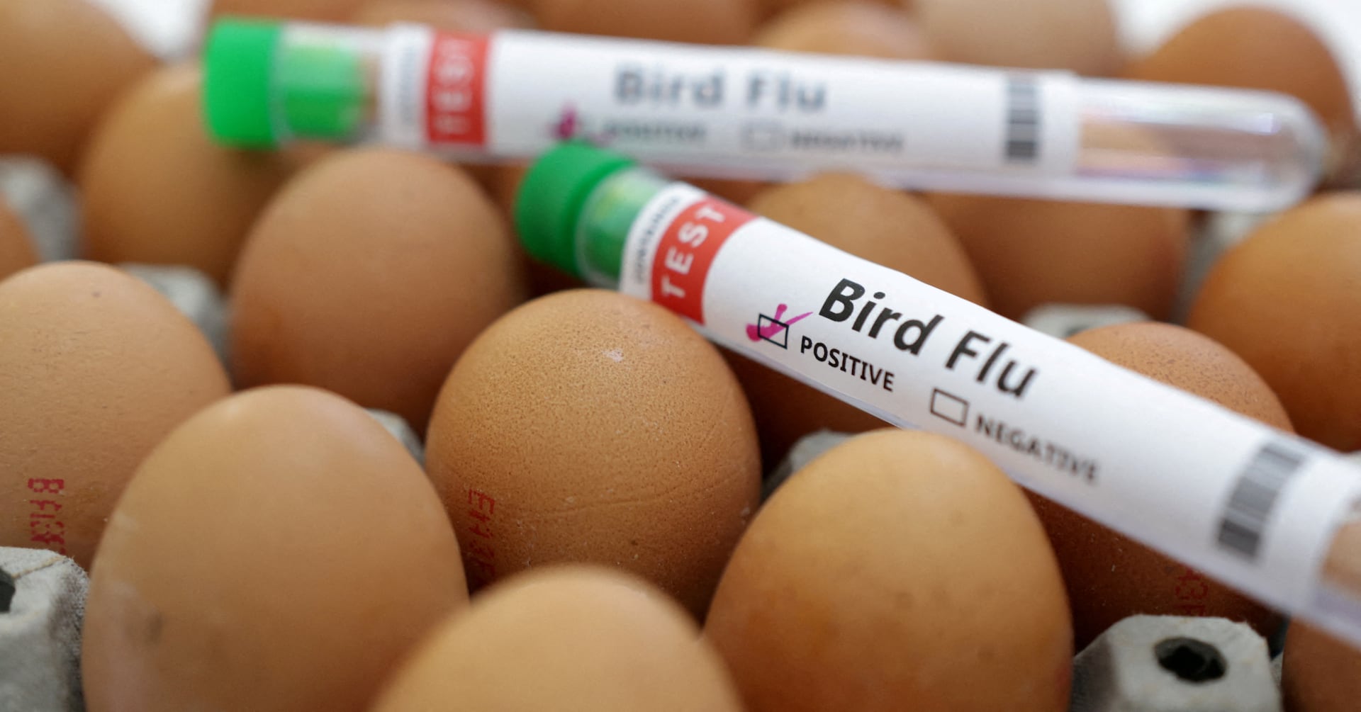 "Texas Poultry Industry Hit by Bird Flu Outbreak"