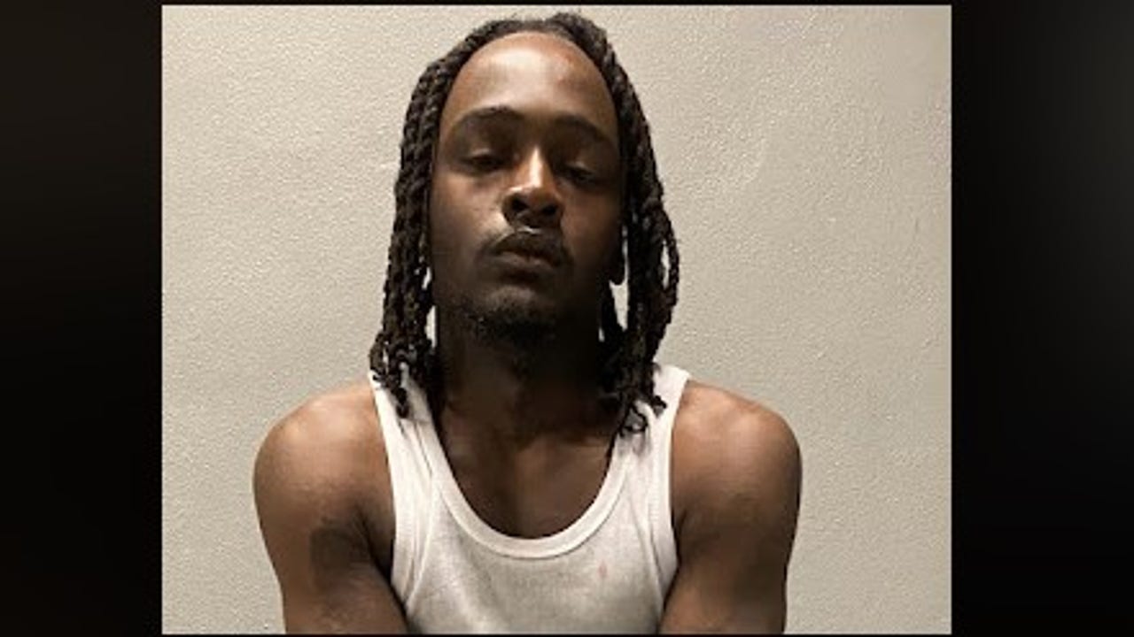 Deadly DC Carjacking Spree Claims Lives of Man and Two Dogs