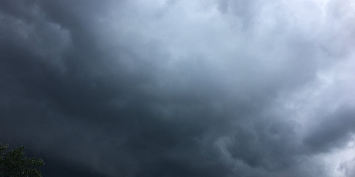 Fatal Storms: Falling Trees Cause Damage and Tragedy in Louisville and Charleston.