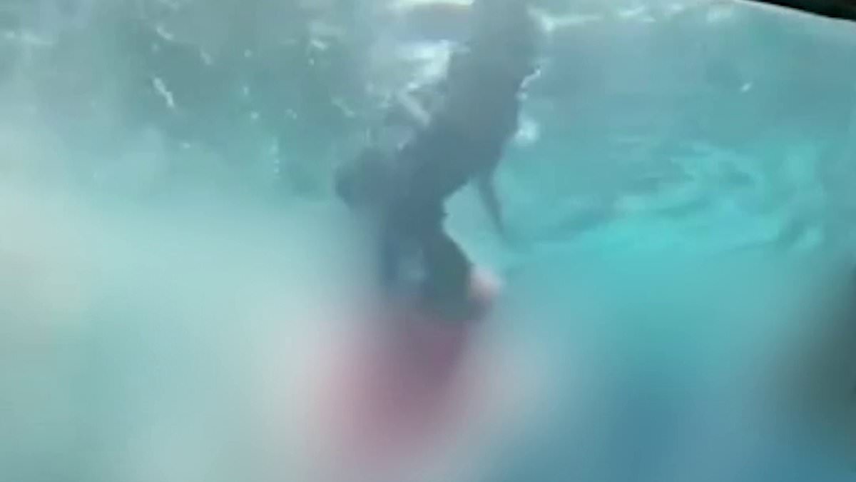 "10-Year-Old Boy Attacked by Shark in Bahamas Resort Tank"