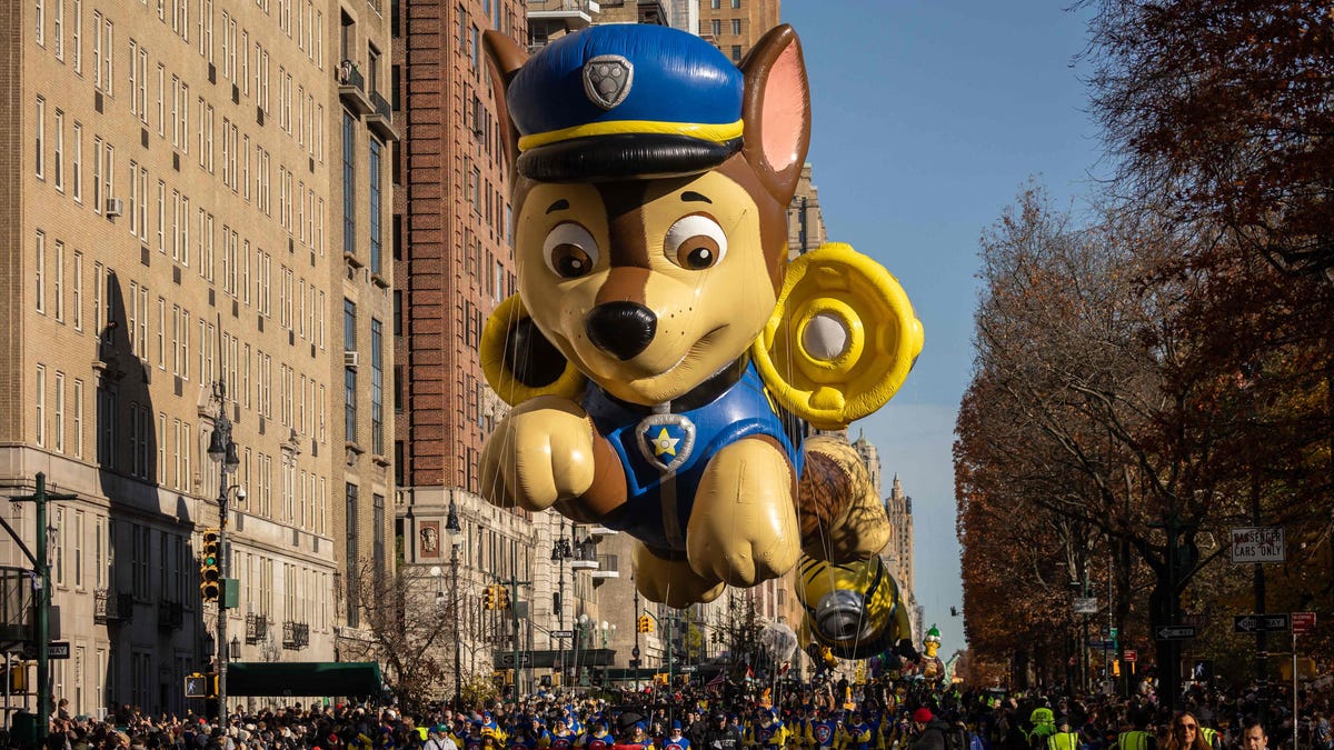 Pro-Palestinian Protesters Disrupt Macy's Thanksgiving Day Parade and Deface New York City Landmarks
