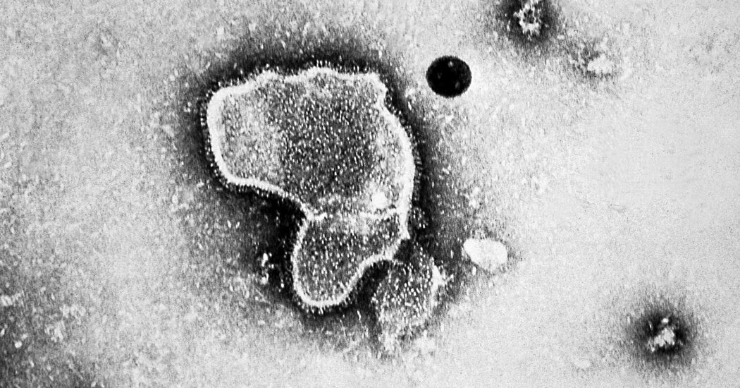 FDA Approves First RSV Vaccine for Adults 60 and Up