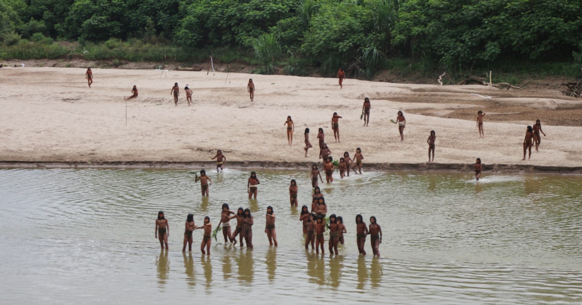 Featured image for Uncontacted Amazon Tribe Photographed Near Logging Threat