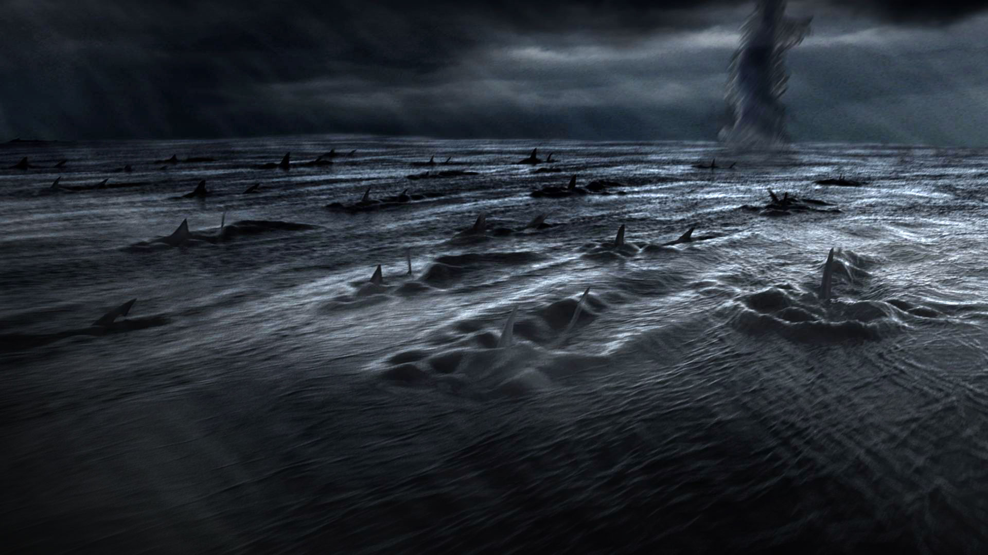 Featured image for "Surprising Discovery: Great White Sharks Form Unlikely Friendships and Travel in Pairs"