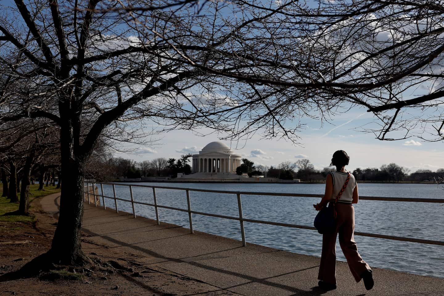 Featured image for "Washington D.C. Hits Record-Breaking 80 Degrees in January"
