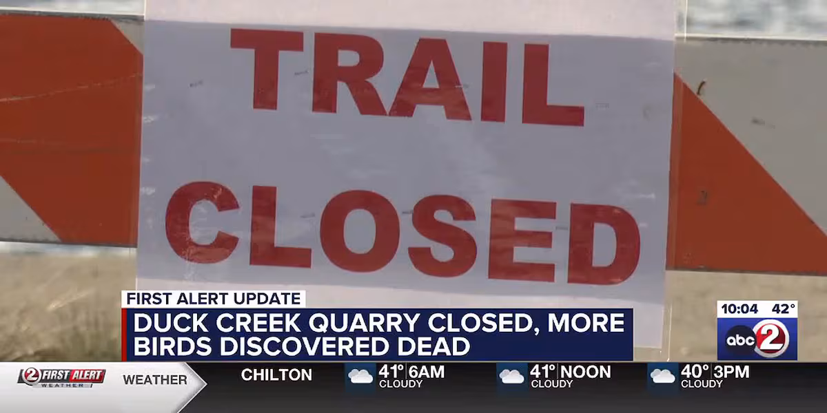 Mysterious Bird Deaths Continue at Duck Creek Quarry