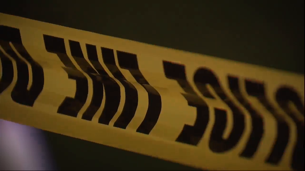 Thanksgiving Shooting in Tennessee Leaves 4 Injured, 2 Suspects at Large
