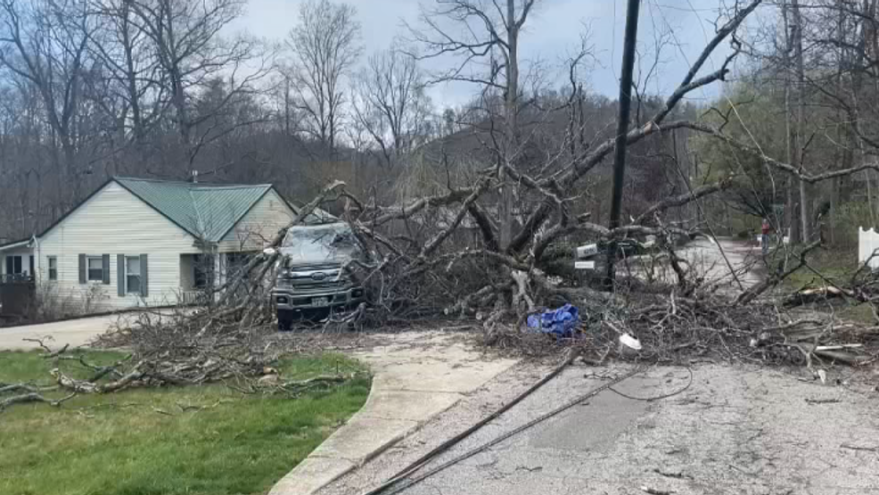 Featured image for Fatalities Reported as Trees Fall on Vehicles in West Virginia