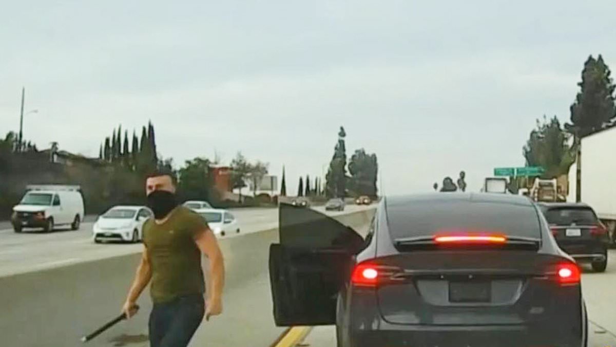 Featured image for Tesla Driver Sentenced to 5 Years for Road Rage Attacks