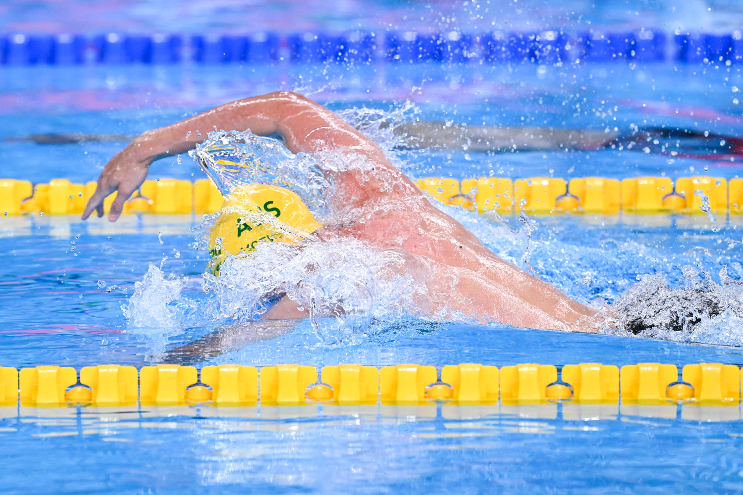 Featured image for "McEvoy's Revolutionary Training Regime Leads to World Championship Victory and Olympic Ban Call"