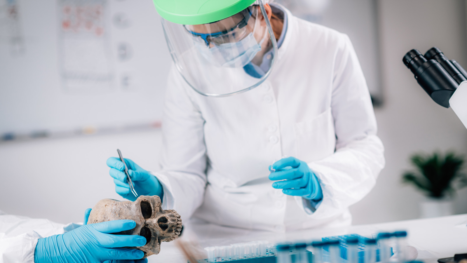 Featured image for Scientists Revive Ancient Gene to Combat Disease