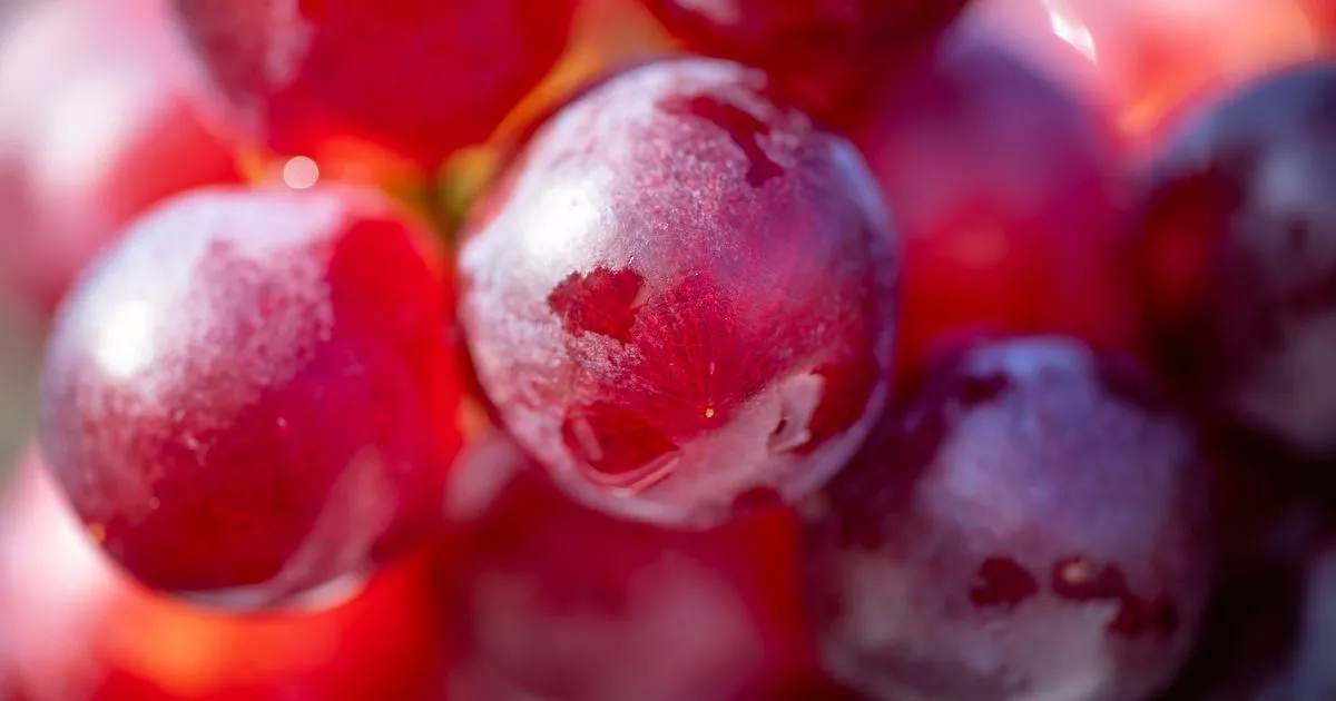 Superfood Promises to Reduce Fats, Sugars, and Cholesterol