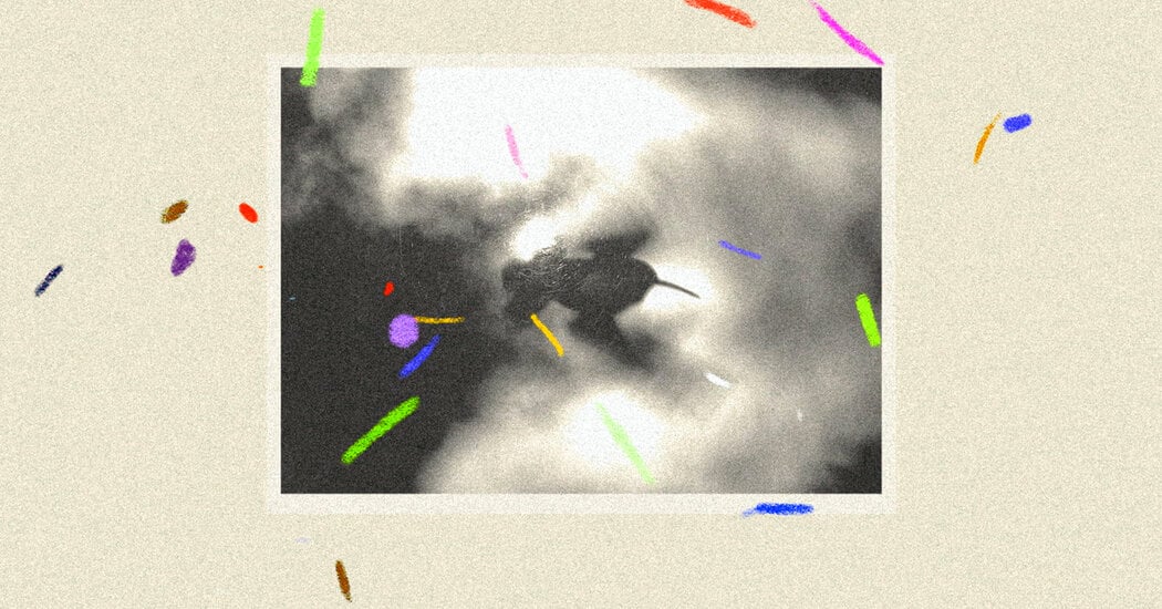 Featured image for Top Anticipated Films and Highlights for 2026