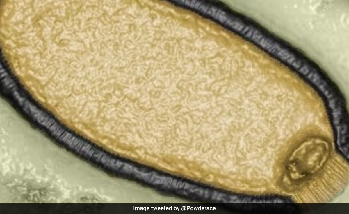 "Arctic Zombie Virus: A Looming Pandemic Threat, Warn Scientists"