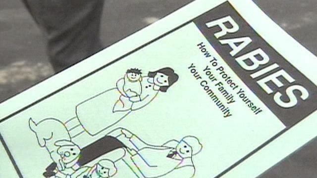 Featured image for Raleigh Neighborhood on Alert After Child Bitten by Rabid Fox