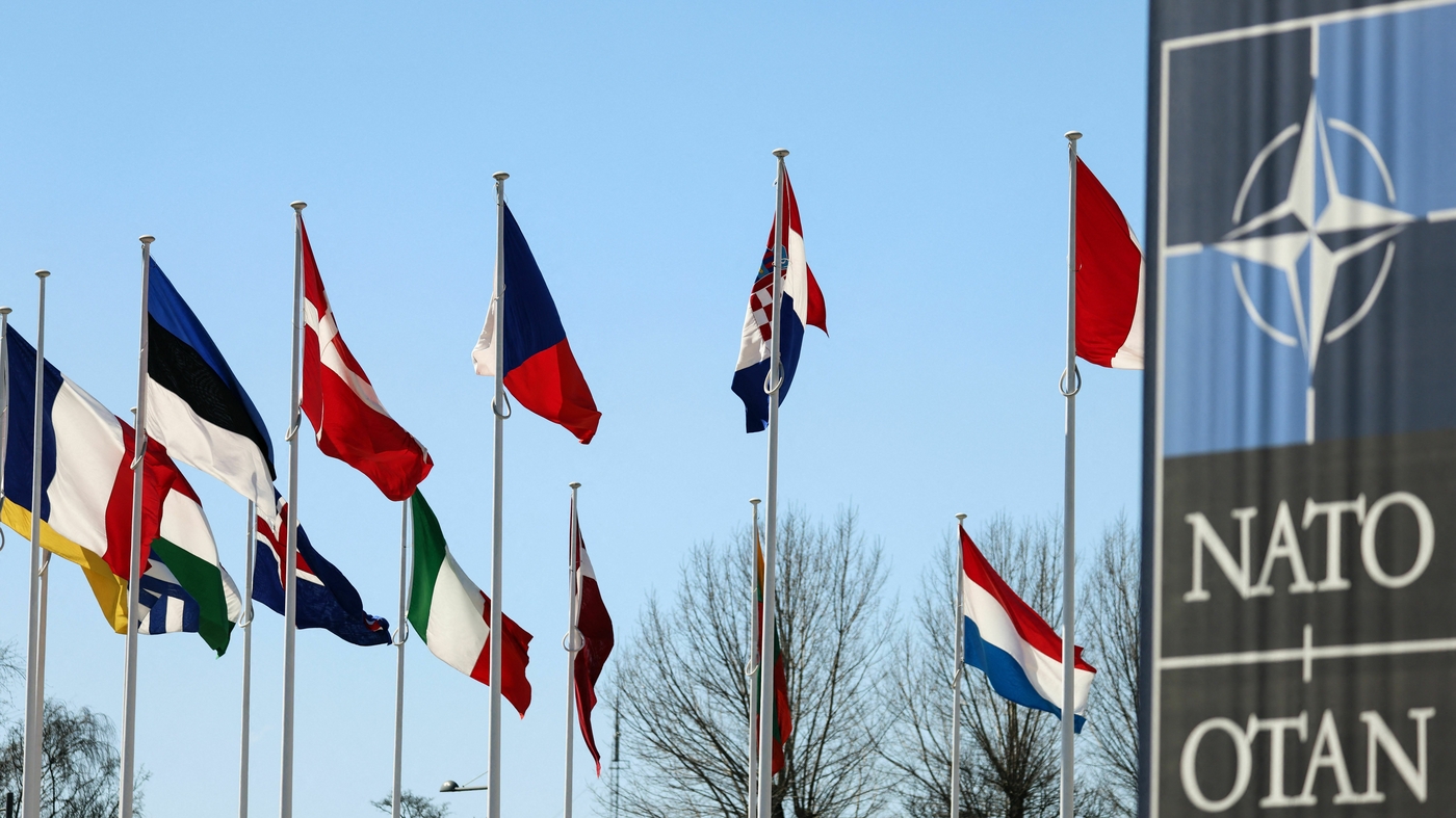 "Finland Joins NATO Amidst Tensions with Russia and Turkey's Role in the Alliance"