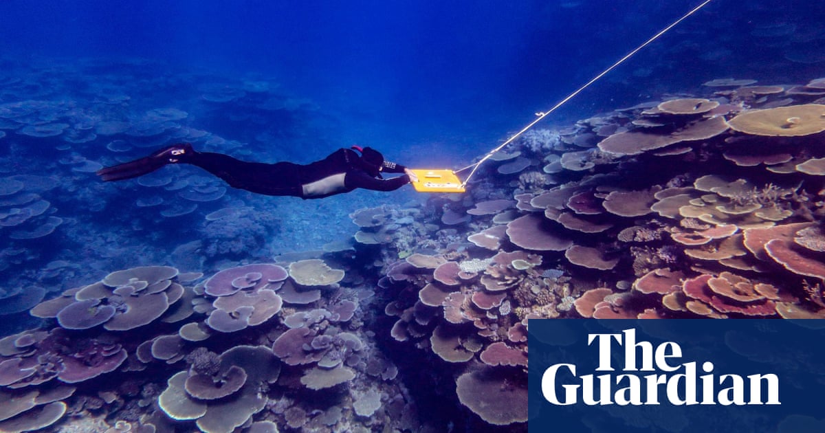 Great Barrier Reef's Decline Threatens Queensland's Coastline and Marine Life