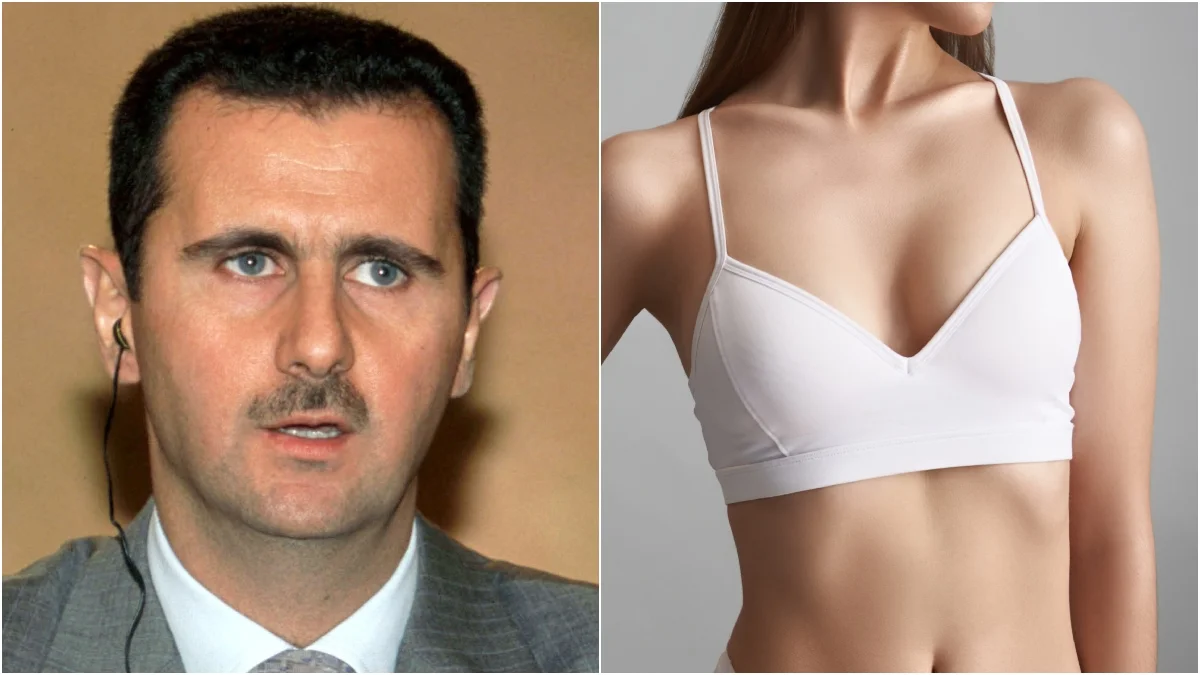 As Syria Falls, Assad's Candy Crush Obsession Comes to Light