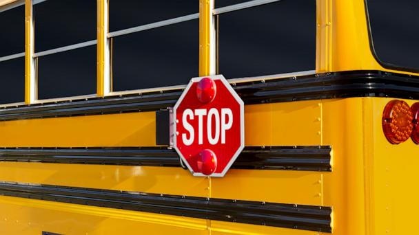 Tragic Accident: 8-Year-Old Girl Fatally Struck While Boarding School Bus