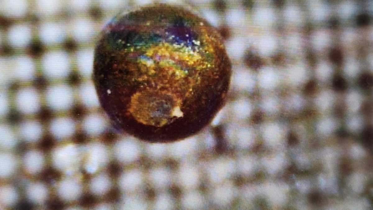 Featured image for "Controversy Erupts as Harvard Professor Claims to Have Found Alien Remnants at Bottom of Pacific"