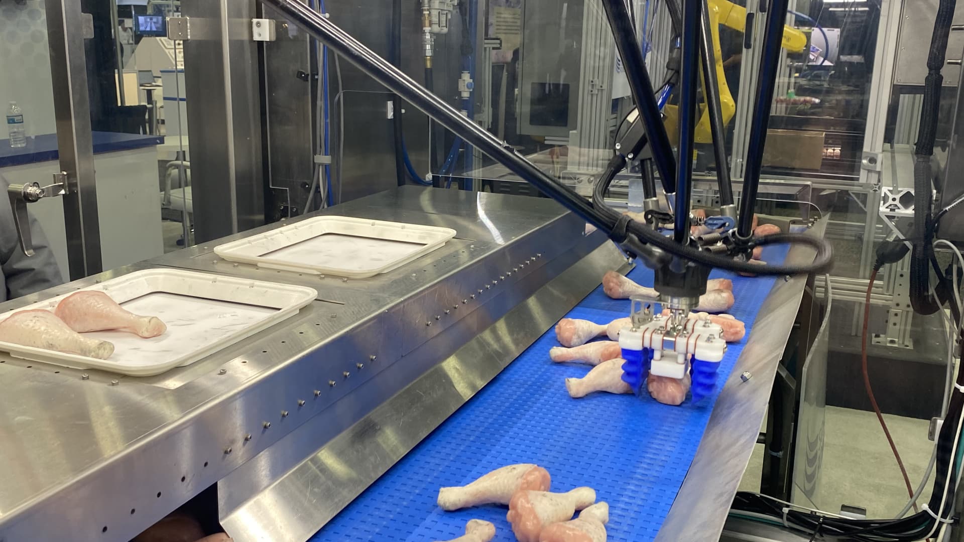 "Robotics Guru Identifies Top Industries for Automation"