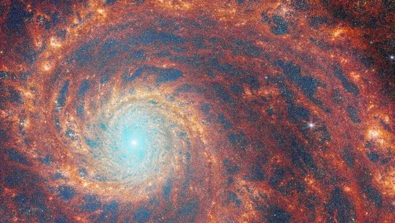 "Jaw-Dropping Webb Images Reveal Whirlpool Galaxy's Beauty"