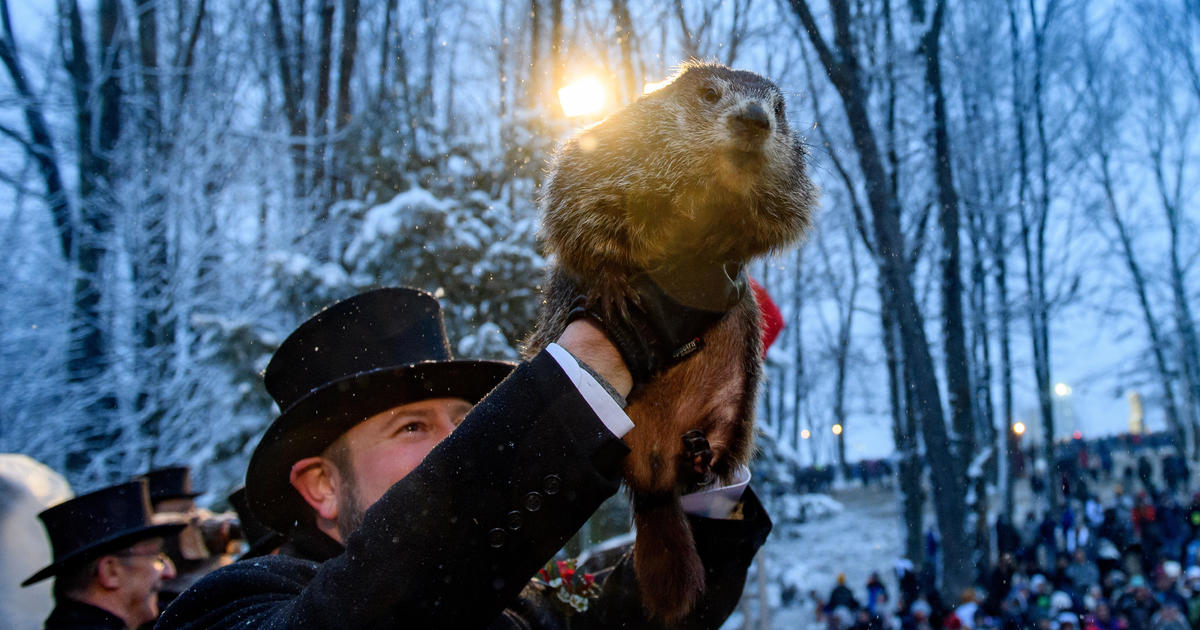 "Punxsutawney Phil's 2024 Groundhog Day Prediction Revealed"