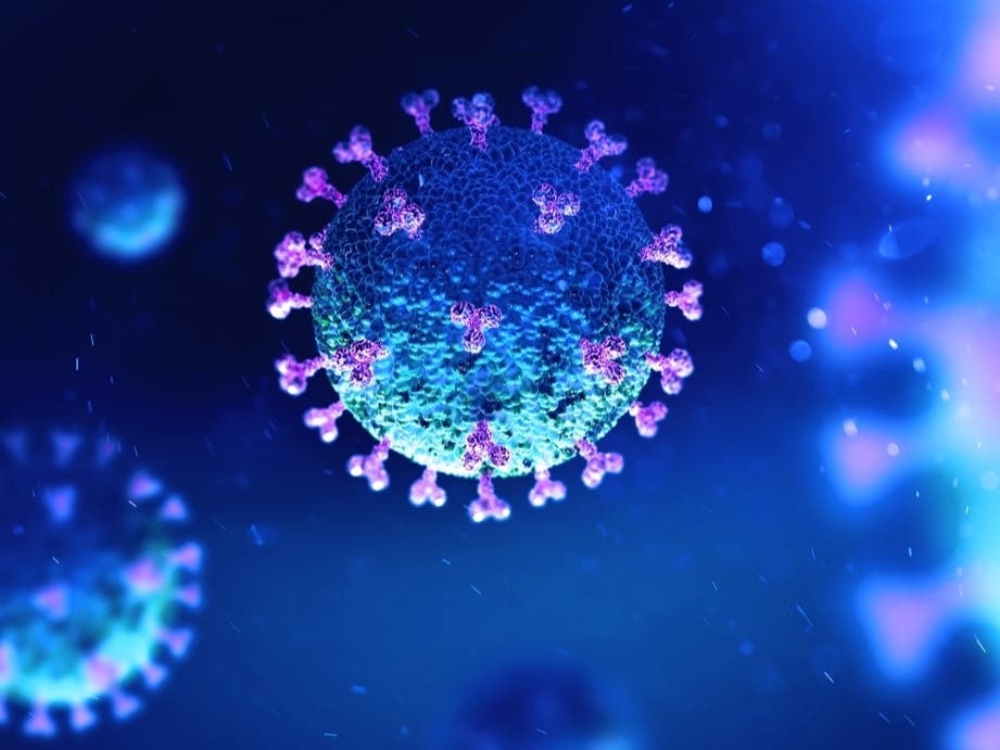 Rising Concerns Over New Highly Contagious COVID Variant Ahead of Holidays