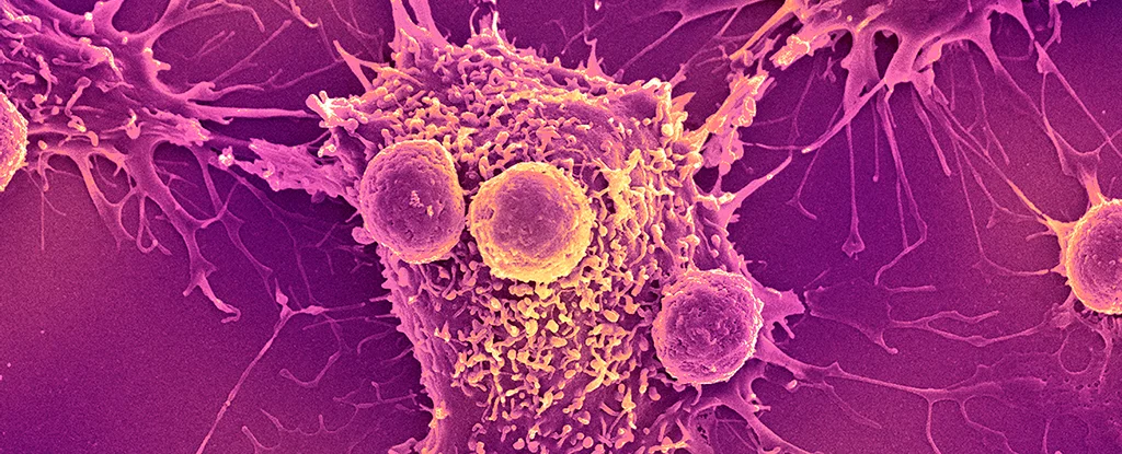 Promising New Vaccine Targets Two Deadly Cancers in Clinical Trials